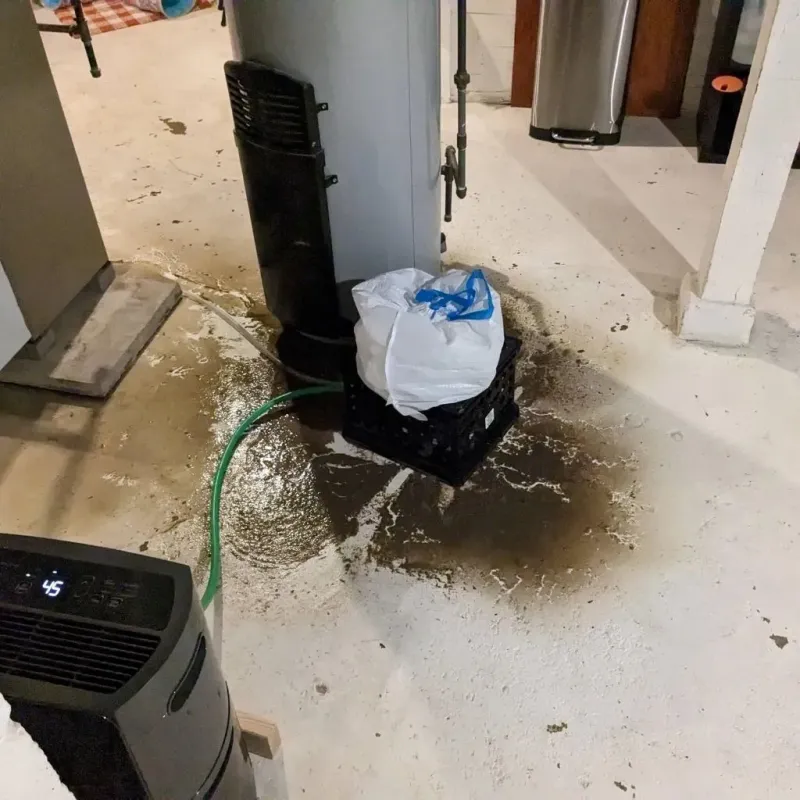 Sewage Backup Cleanup Service in Harlem, GA